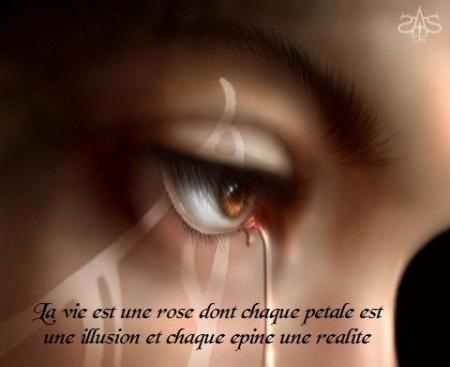 ..............ma vie